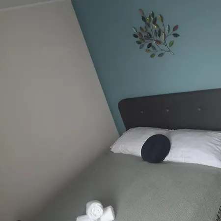 Fonix Badacsony 包道乔尼托毛伊